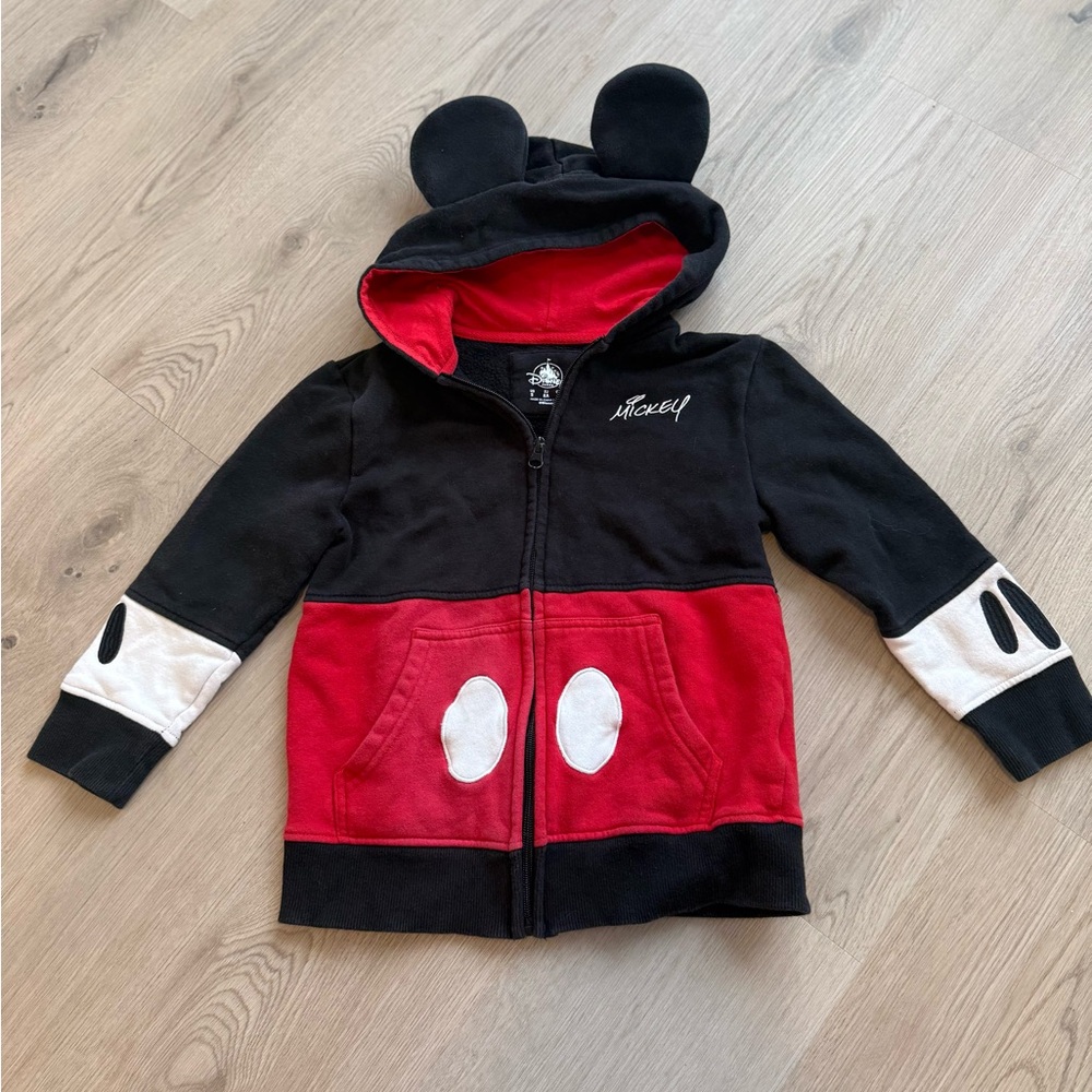 Kids Disney Park Hoodie with Ears